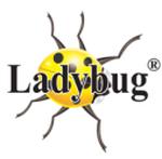 LADYBUG PUBLISHING AND DISTRIBUTION